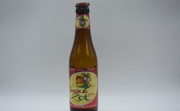 Brugse Zot Dubbel