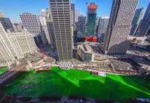 17 de marzo, San Patricio en casa Río Chicago teñido de verde en San Patricio