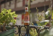 Cruzcampo presenta su Andalusian IPA, una receta con aires del Sur Cruzcampo Andalusian IPA