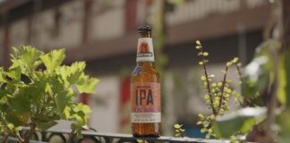 Cruzcampo presenta su Andalusian IPA, una receta con aires del Sur Cruzcampo Andalusian IPA