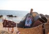 Kinkristo, la cerveza mallorquina para disfrutar del verano cerveza mallorquina Kinkristo