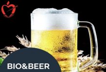 Alumnos del colegio Agustinos de Calahorra estudian cómo crear una cerveza sostenible y con carácter