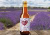 Llega al mercado Pasión Púrpura, una cerveza con lavanda y maíz morado