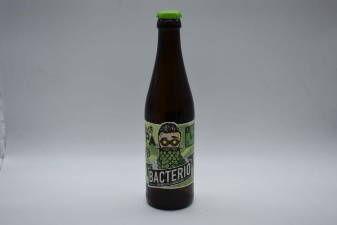 Bacterio Brewing Co, la cerveza artesana de laboratorio.