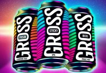 La cervecera vasca Gross Beer presenta sus nuevos lanzamientos Frisbi, Sticky y Bixi lanzamientos Gross Beer